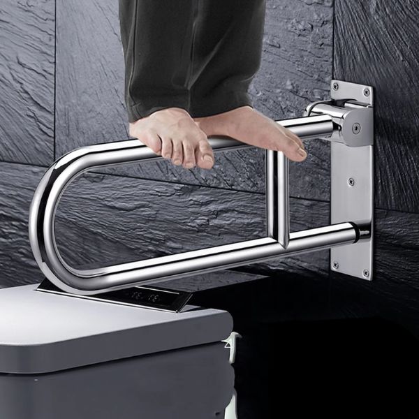 Bathroom Handicap Grab Bars